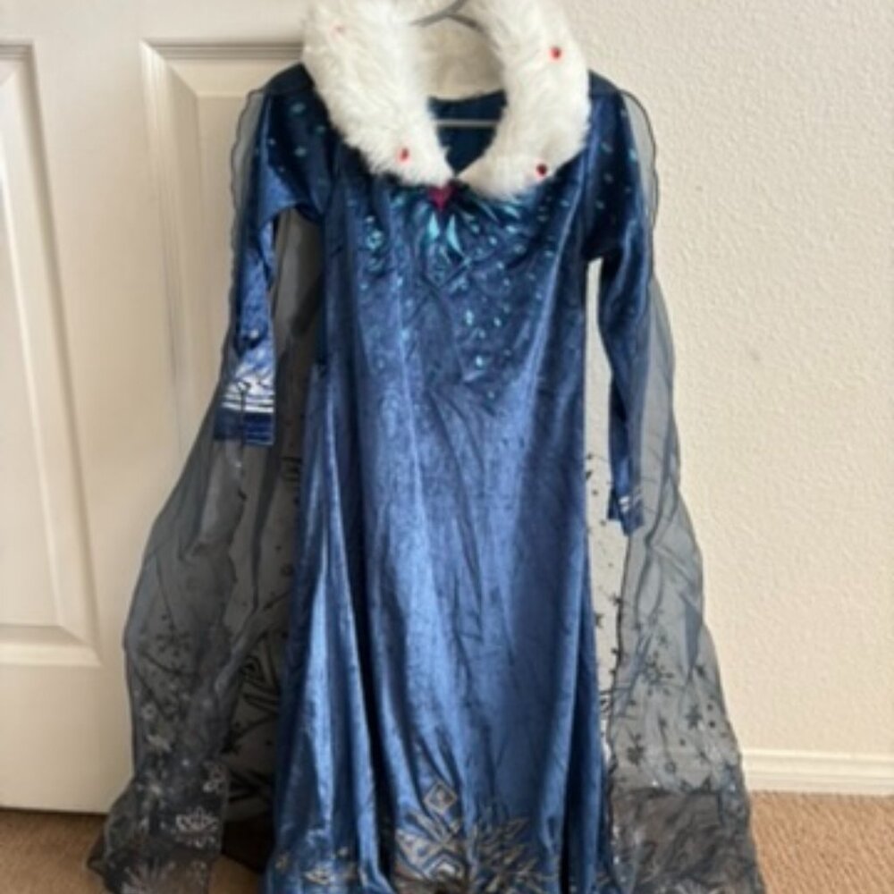 Elsa Dress with Drape Size 3-4T
